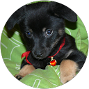 Henrieta Szabóová profile picture